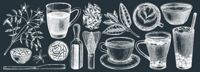 Hand-sketched tea drinks and ingredients collection. Vector sketches of hot beverage cups, dried leaves, jasmine blossom. Green Tea, black tea, white tea, matcha drawing for menu design on chalkboard